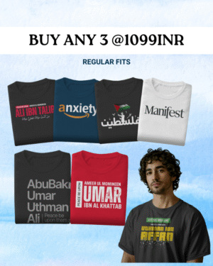 Pick Any 3 - Regular Fit T-shirt Combo 3.0